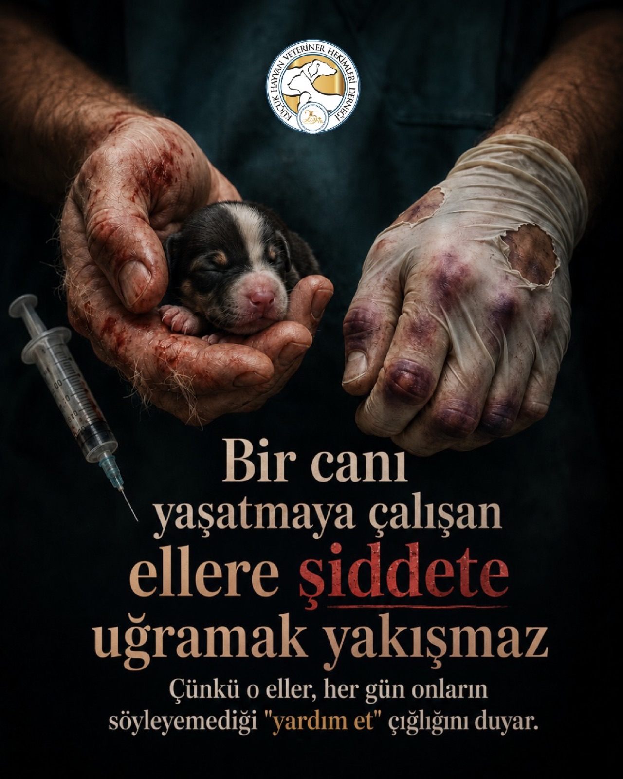 Şiddete Karşı Sessiz Kalmıyoruz