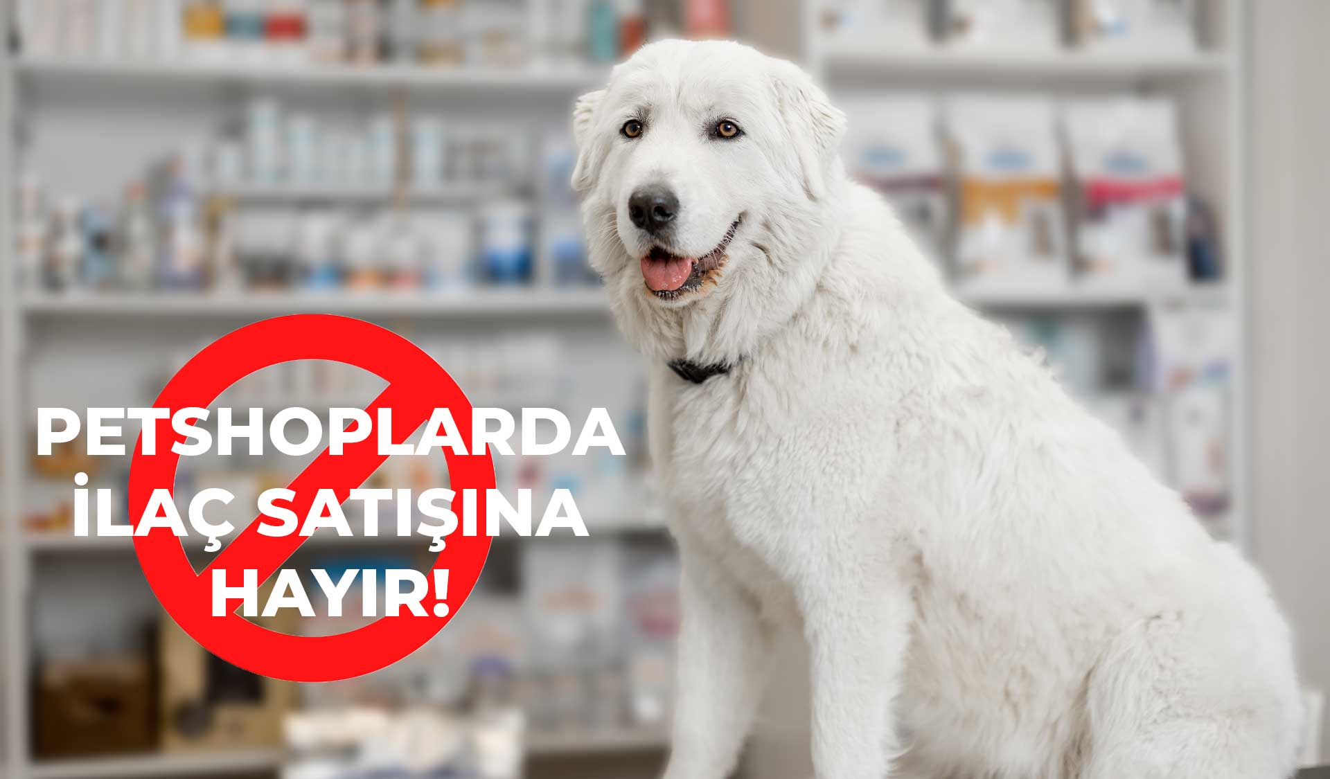 ''Petshoplarda İlaç Satışına Hayır'' Avrupa Yakası Çözüm Arama Toplantısı