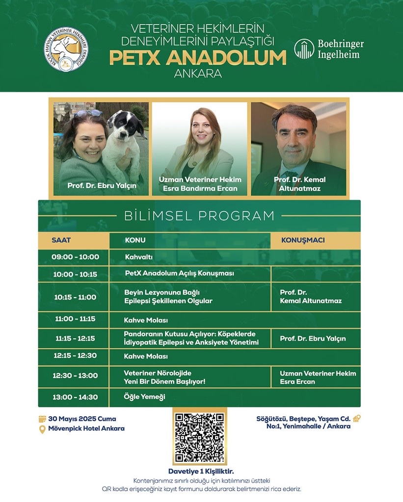 PetX Anadolum — Ankara