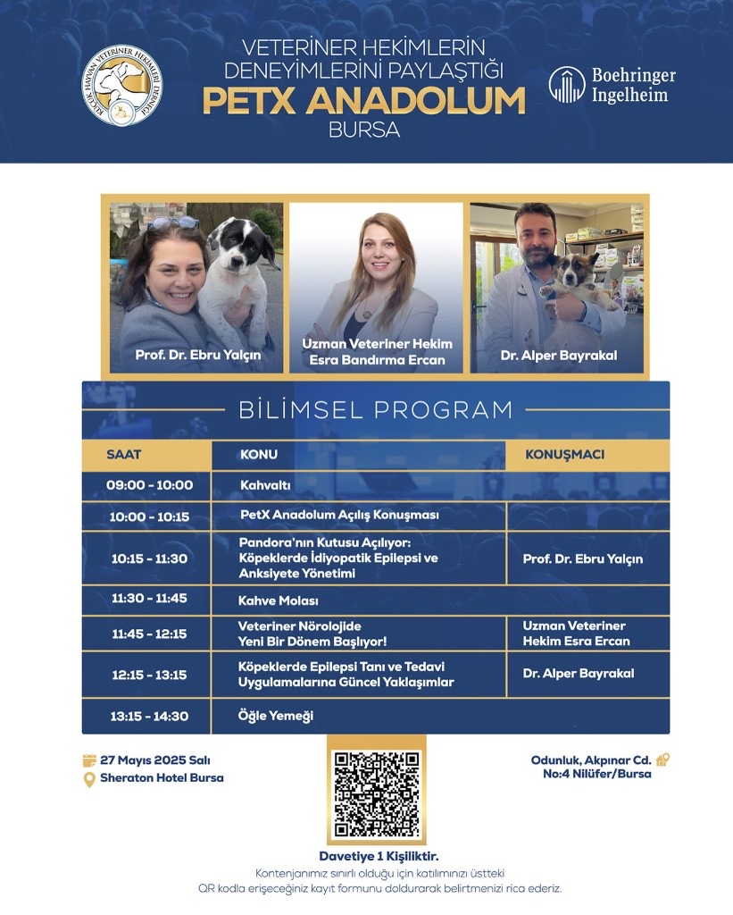 PetX Anadolum — Bursa