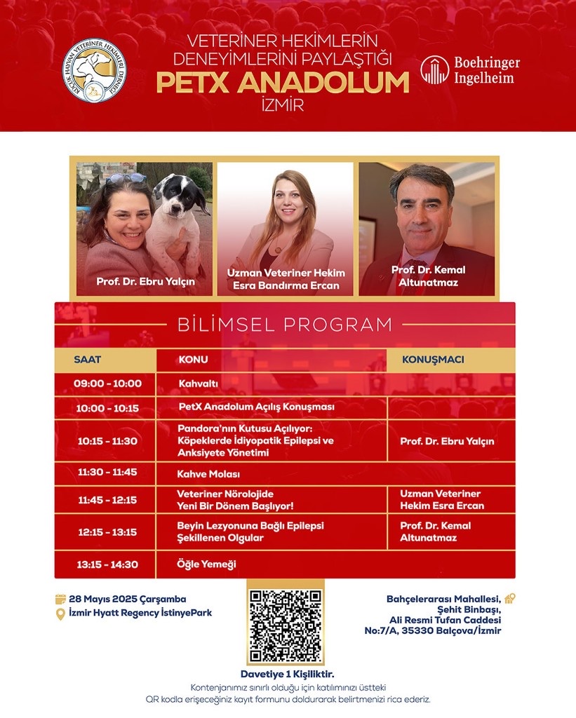 PetX Anadolum — İzmir