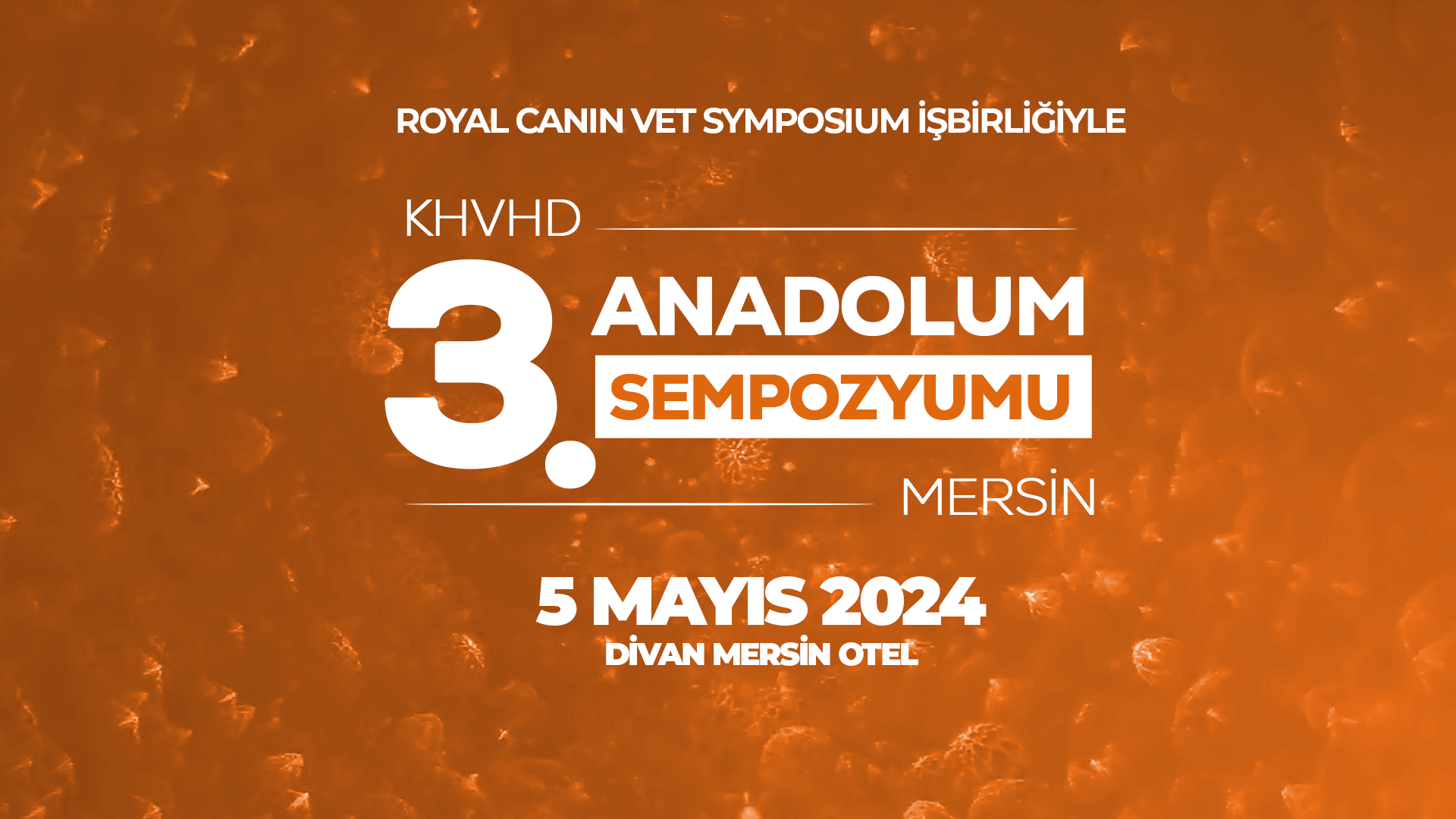 3. Anadolum Sempozyumu / Mersin