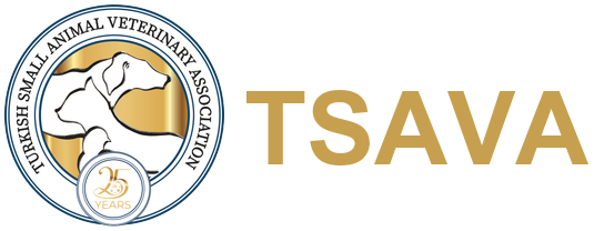 site logo